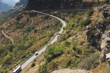 bir dağ yolu tarafından tahrik sığır sürüsü 