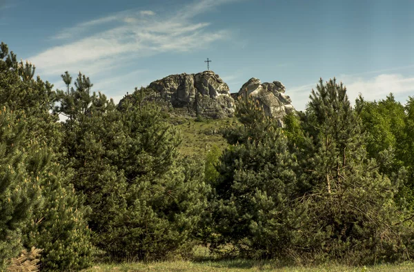 Краєвид з скелі Краків-Ченстохова Жура — стокове фото