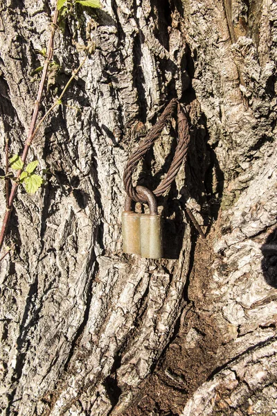 Um velho cadeado enferrujado e um pedaço de corda de aço — Fotografia de Stock