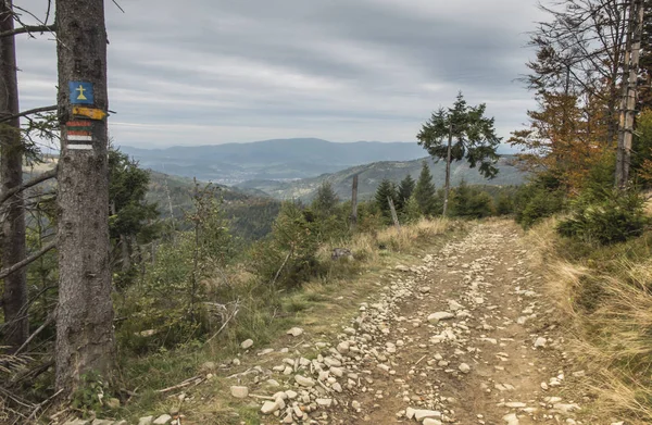 Horská cesta, která je také turistickou stezkou v Beskydu Zywiec — Stock fotografie