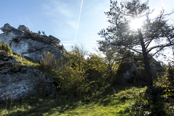 Rocce calcaree nella riserva naturale di montagna Zborow nel Giura Cracovia — Foto Stock
