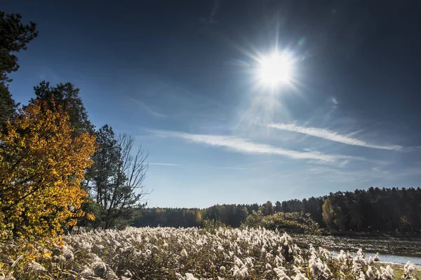 Herbstsonne über dem Zielona-Stausee am Fluss mala panew — Stockfoto