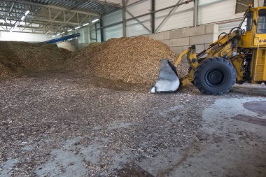 Yığının üzerinde duran odun parçaları 