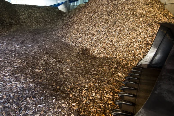 Wood chips lying on the heap — Stock Photo, Image