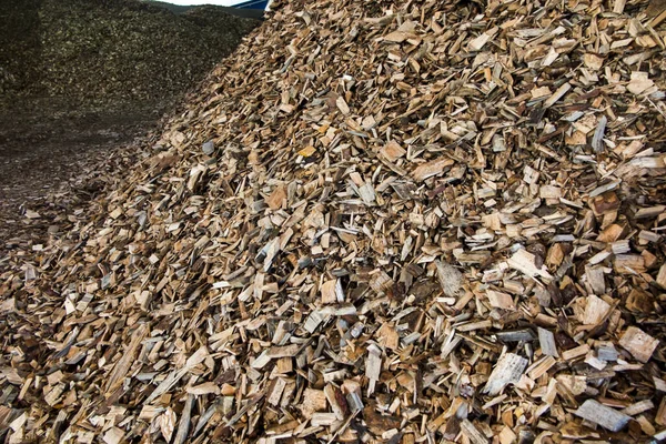 Wood chips lying on the heap — Stock Photo, Image