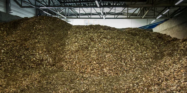 Wood chips lying on the heap — Stock Photo, Image