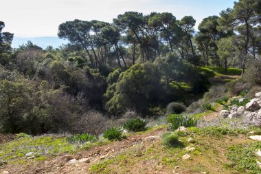 Tabor Dağı 'nın çevresindeki bölge, İsrail' deki Tanrı 'nın dönüşümünden.