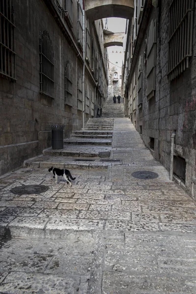 Enge Leere Straße Der Altstadt Von Jerusalem Israel Während Der — Stockfoto