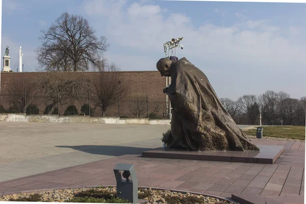 Czestochowa Daki Jasna Gora Daki Meryem Anıtı Nın Önündeki Kardinal — Stok fotoğraf