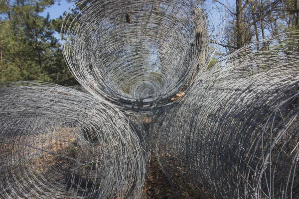 柵を作る前に横たわっている動物に対する森林作物のフェンスのために使用されるワイヤメッシュ — ストック写真