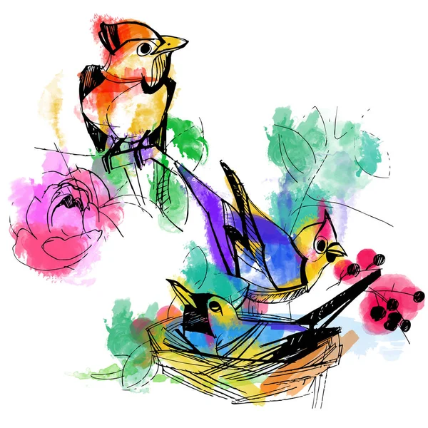 Ensemble d'oiseaux aquarelle — Image vectorielle