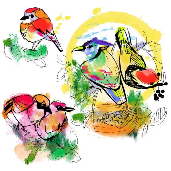 Ensemble d'oiseaux aquarelle — Image vectorielle