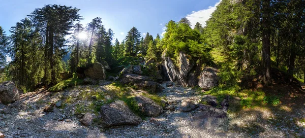 Panoramiczny widok wewnątrz lasu z góry Bucegi na lato — Zdjęcie stockowe