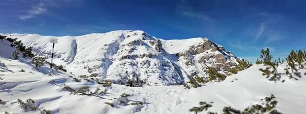 Vista Panorámica Del Monte Bucegi Invierno Parte Cordillera Los Cárpatos — Foto de Stock