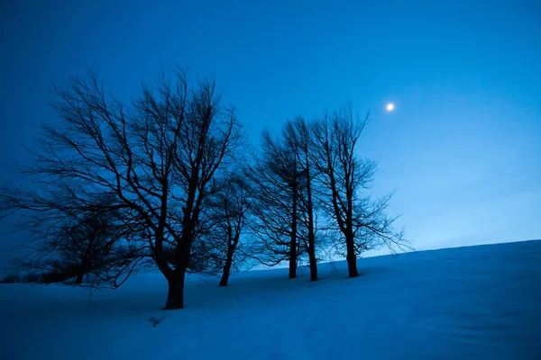 Feenhafte Winternachtslandschaft Mit Schnee Und Mond Auf Einem Hügel — Stockfoto