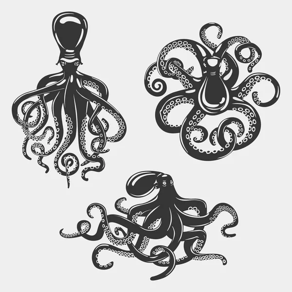 Black octopus or underwater swimming mollusk — Stock Vector