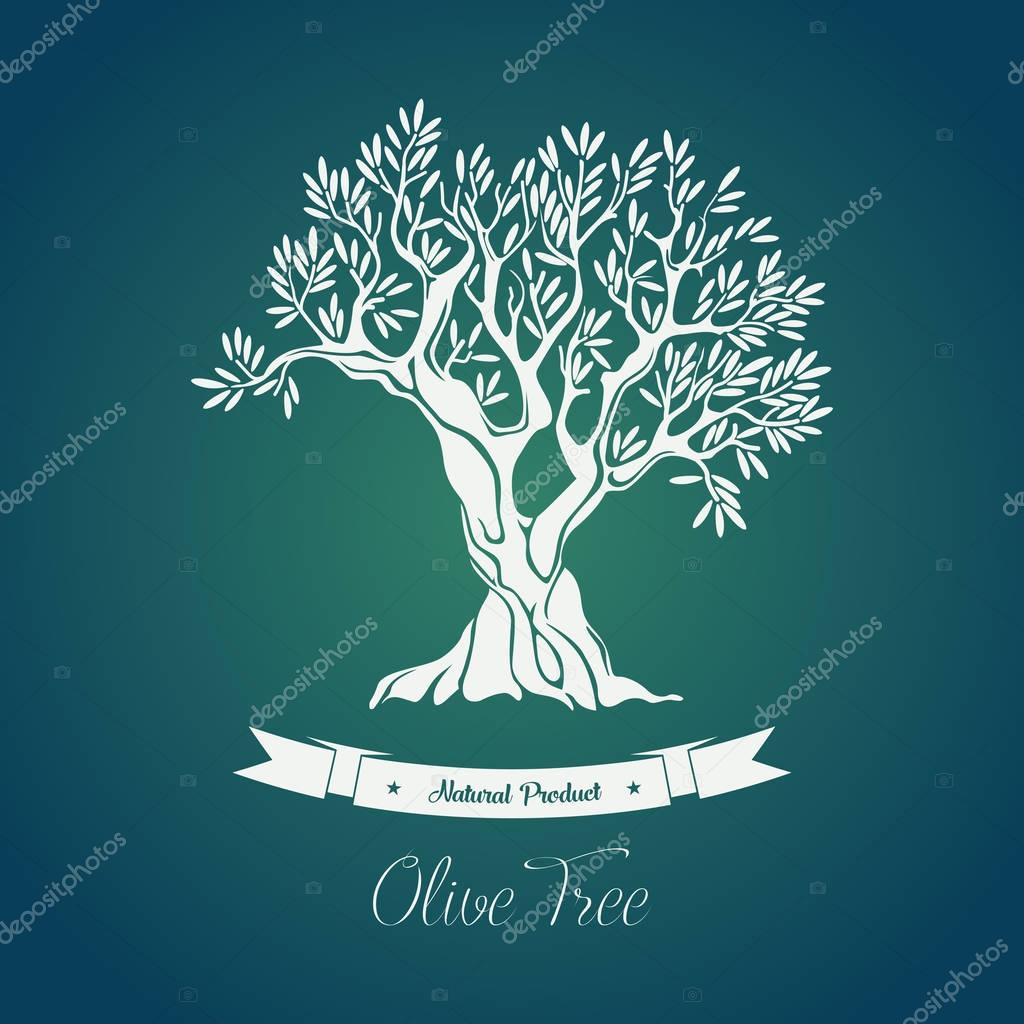 Bottle sticker with olive oil greece tree on it. Olive grove sign or banner, logo or badge with ribbon below. May be used for olive agriculture theme, shop or store logo, tree with branches label.