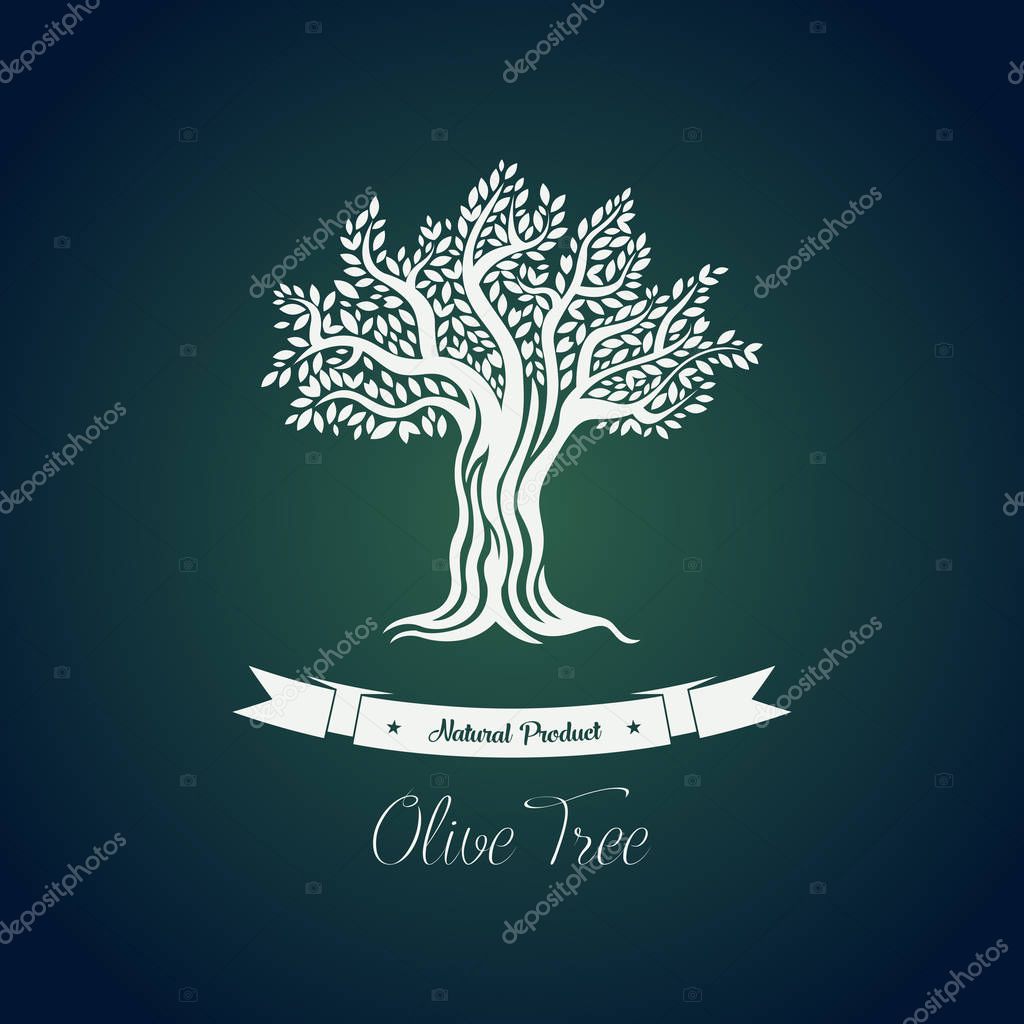 Leaf on branches of olive oil tree vector drawing. Greece olive tree for vegetarian or vegan food and drink, natural and organic fruit. For bottle label or sticker, olive oil packaging or tree grove