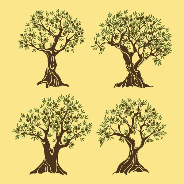 Set of greek olive oil trees in vintage style — Stock Vector