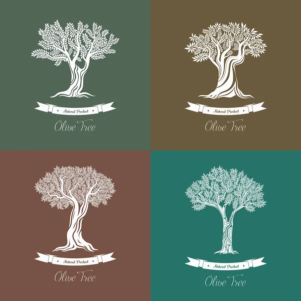 Conjunto de diferentes olivos naturales logo — Vector de stock