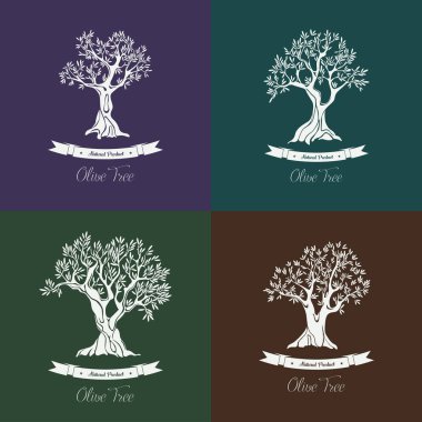 Yunan zeytin zeytin ağaçları olive grove için ayarla