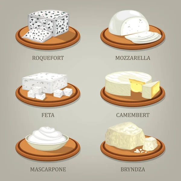 Roquefort e mussarela, feta ou camembert —  Vetores de Stock