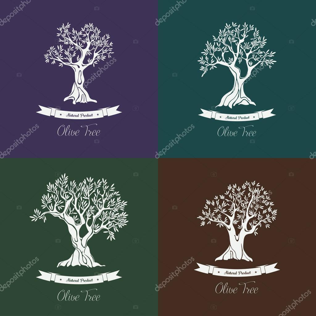 Set of greek olive oil trees with ribbons. Fruit tree with branch and berry that used for liquid or vegetarian food, smear oil. Agriculture and mediterranean nature, bottle label or olive grove banner