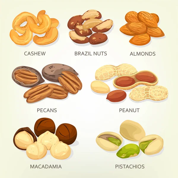 巴西坚果和腰果水果种子、 谷物 — 图库矢量图片