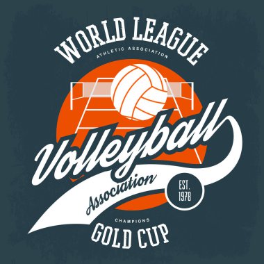 Topu Voleybol net alanıyla önünde
