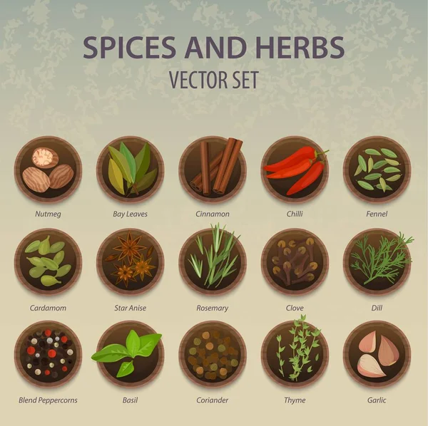 Platos con especias y hierbas, ingrediente de condimento — Vector de stock