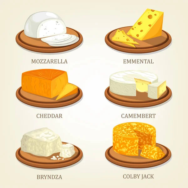 Serie di pezzi isolati di formaggio su piatti — Vettoriale Stock