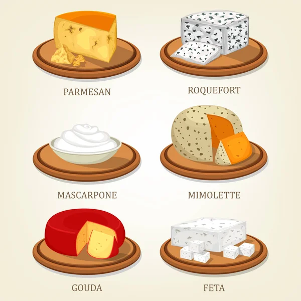 Roquefort and parmesan, mimolette and gouda, feta — Stock Vector