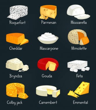 Gıda parmesan ve mozzarella peynir parçalarını