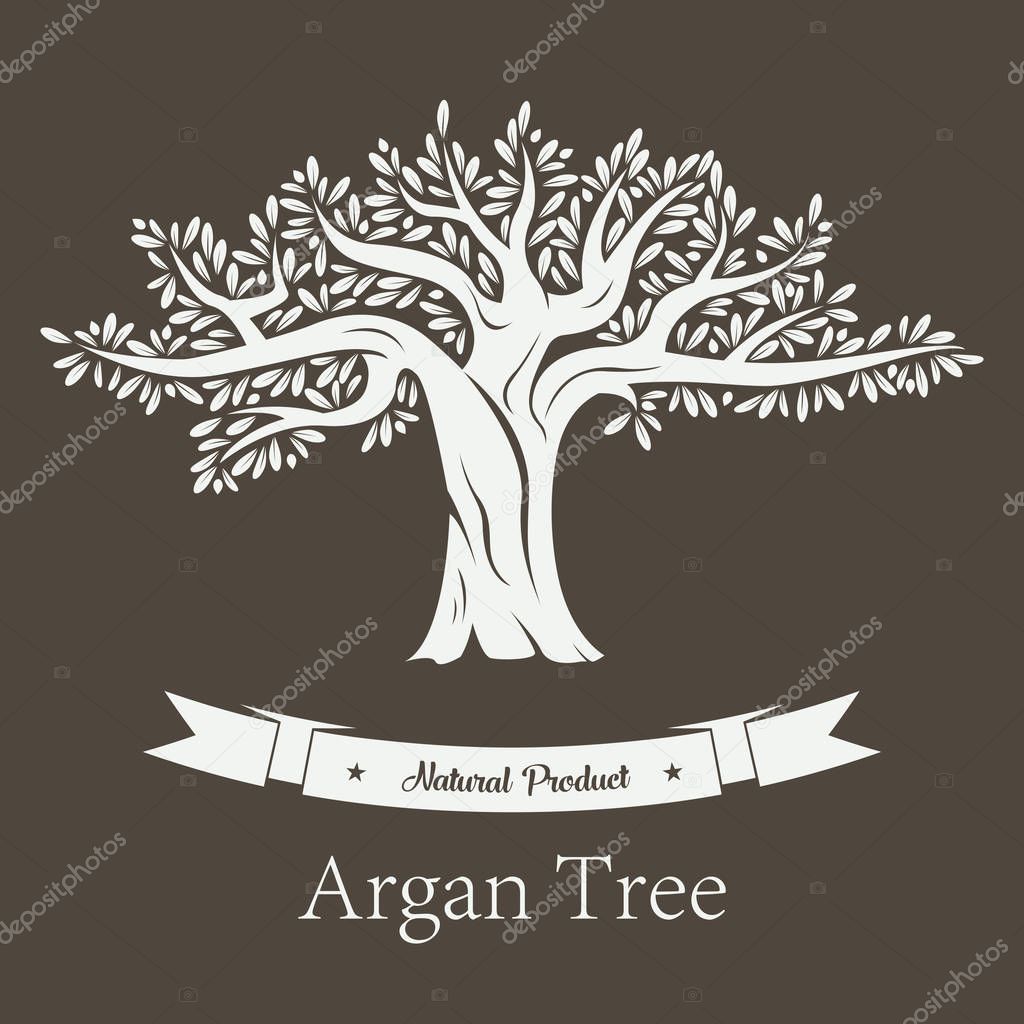 Fruit tree with branches and foliage, argan plant or argania flora. Natural cosmetic and oil products, vegetarian or vegan healthy food. Bottle sticker or label, grove logo and botany theme