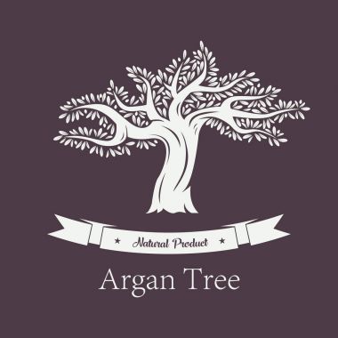 Yeşillik ile Argania bitki veya argan ağacı.