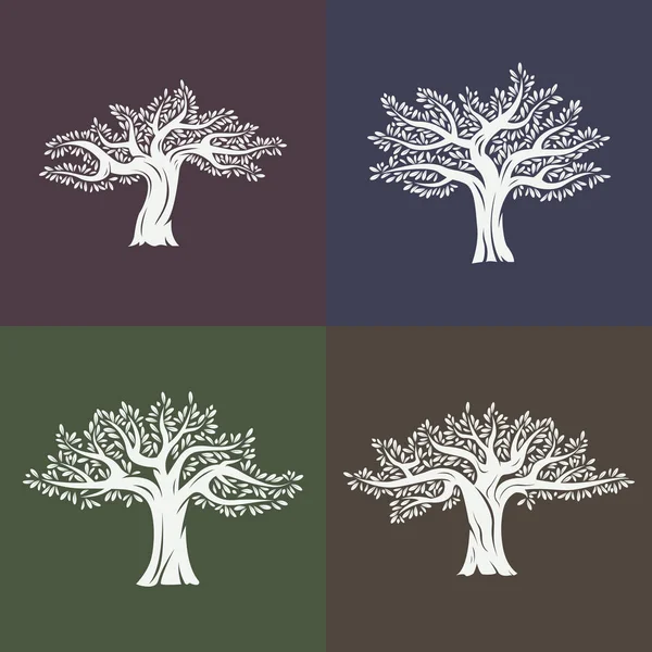 Conjunto de árboles frutales de argania o argán con hojas — Vector de stock
