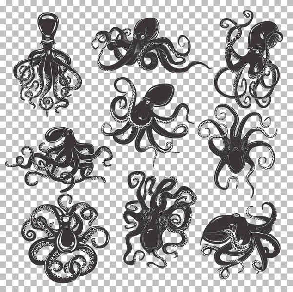 Set of isolated octopus mascot or tattoo — Stock Vector