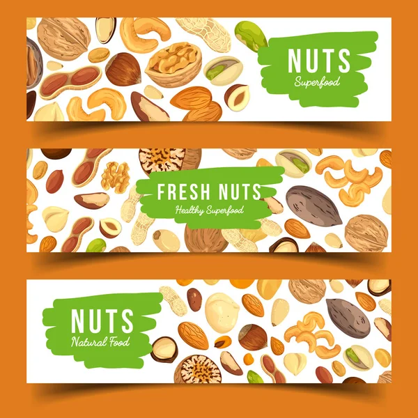 Cards with nuts food, pecan and nutmeg, hazel — Stock Vector