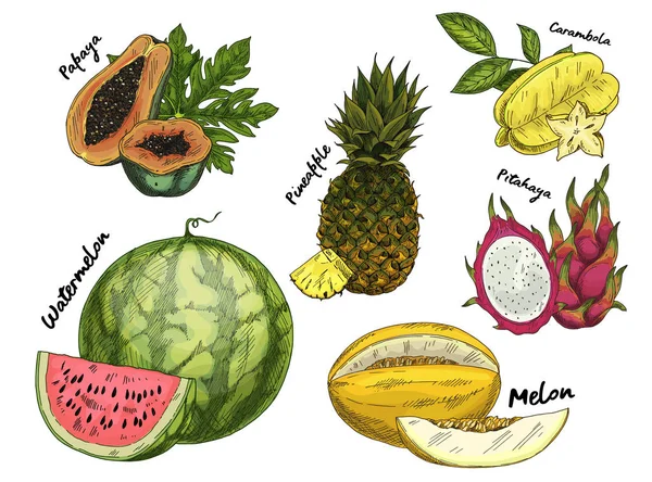 Conjunto de bocetos aislados de frutas tropicales — Archivo Imágenes Vectoriales