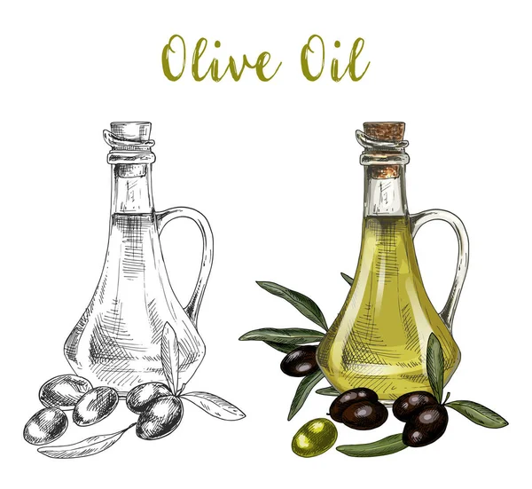 Skiss av flaskan med olivolja och gren — Stock vektor