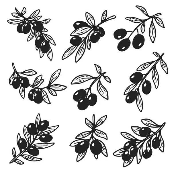 Conjunto de bocetos aislados a mano de aceite de oliva — Archivo Imágenes Vectoriales
