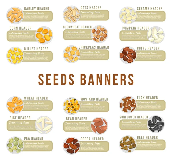 Cartes ou bannières, en-tête avec grains de graines aliments — Image vectorielle