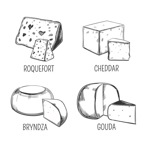 Bryndza y roquefort, queso cheddar y gouda — Archivo Imágenes Vectoriales