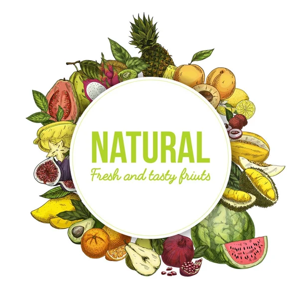 Banner o brochure con frutta tropicale esotica — Vettoriale Stock