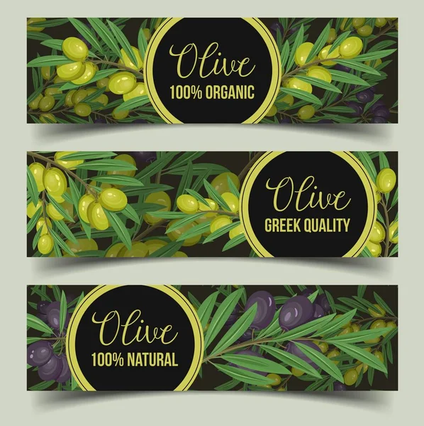 Panneaux pour la boutique avec des branches d'olivier avec des baies — Image vectorielle