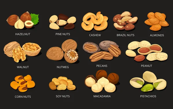 Set van granen en bonen van voedsel noten — Stockvector