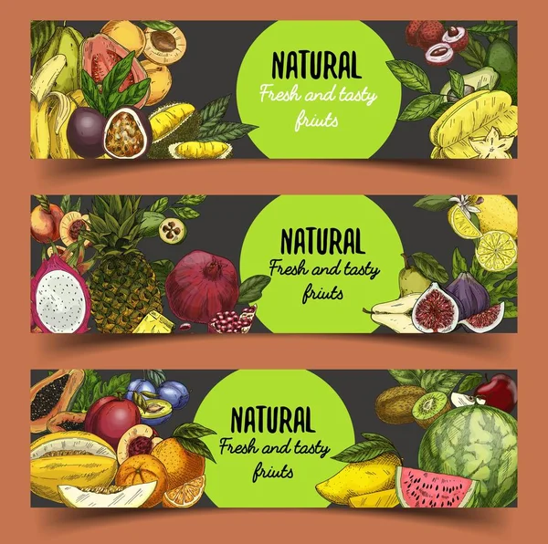 Schilder und Banner mit tropischen oder exotischen Früchten — Stockvektor