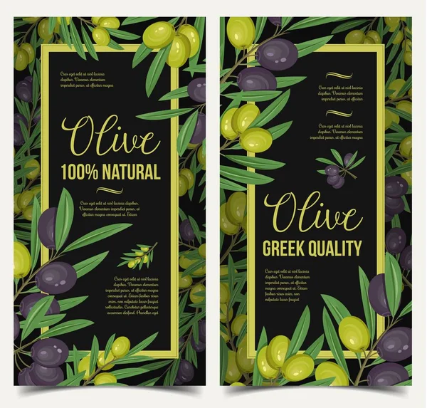 Вертикальные плакаты с оливковыми ягодами и листьями — стоковый вектор
