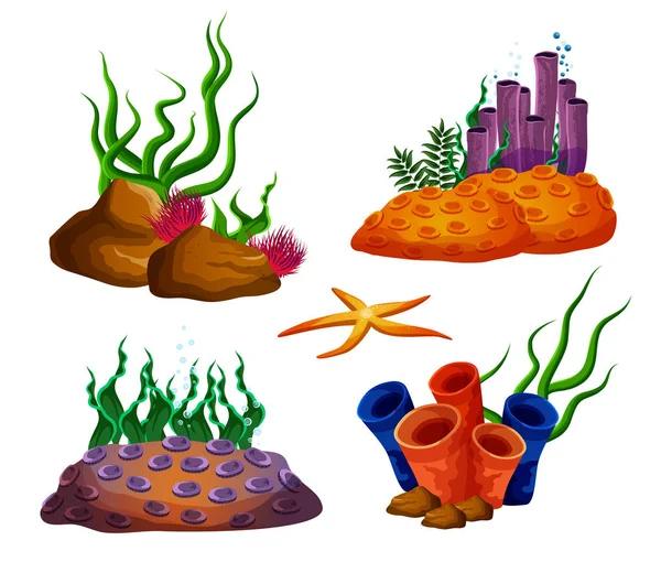 Подводные океанские рифы или аквариумные кораллы — стоковый вектор