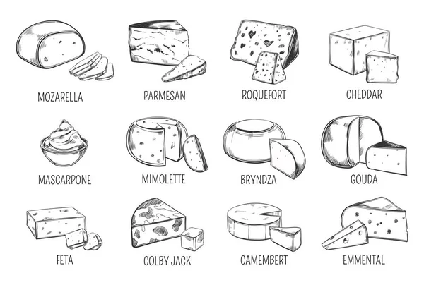 Σύνολο των απομονωμένων σκίτσα των τύπων τυριού — Διανυσματικό Αρχείο